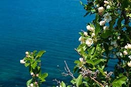 La Riviera dei Gelsomini: la Calabria che non ti aspetti