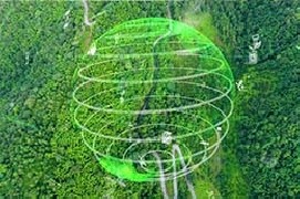 Salvare gli alberi con le nuove tecnologie