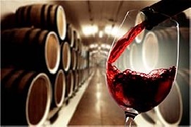 In vino veritas tra tradizione e nuove tecniche biodinamiche 