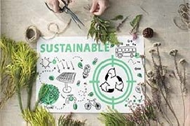 Vivere sostenibile: piccoli gesti quotidiani per uno stile di vita più green e responsabile