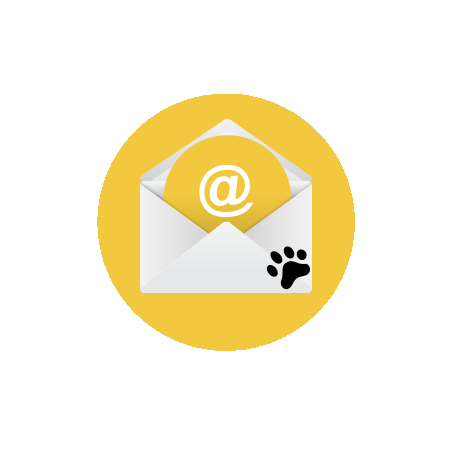 Voucher - Soggiorno Responsabile QuattroZampe