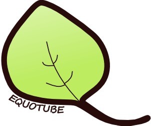 EQUOTUBE SOCIETÀ COOPERATIVA